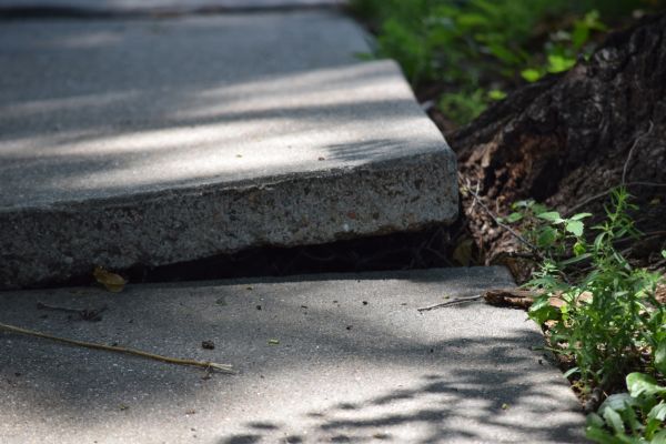 Sidewalk Leveling in Grand Blanc