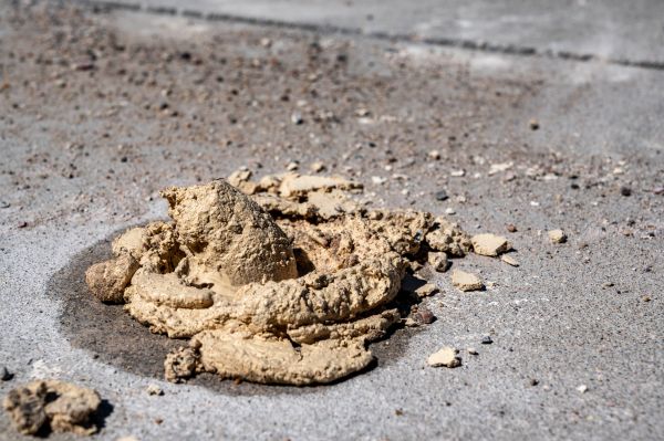 Cost of Driveway Slab Leveling in Grand Blanc
